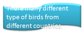 birdtext